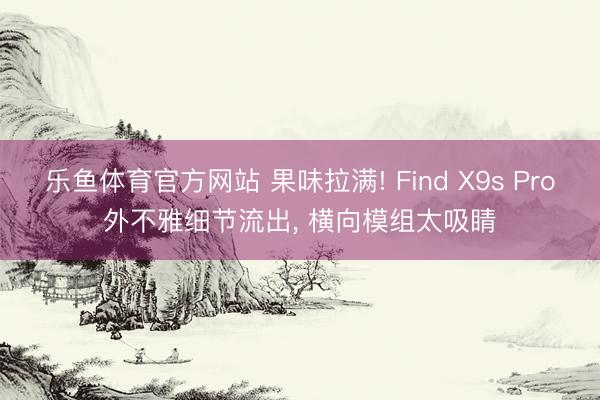 乐鱼体育官方网站 果味拉满! Find X9s Pro外不雅细节流出， 横向模组太吸睛